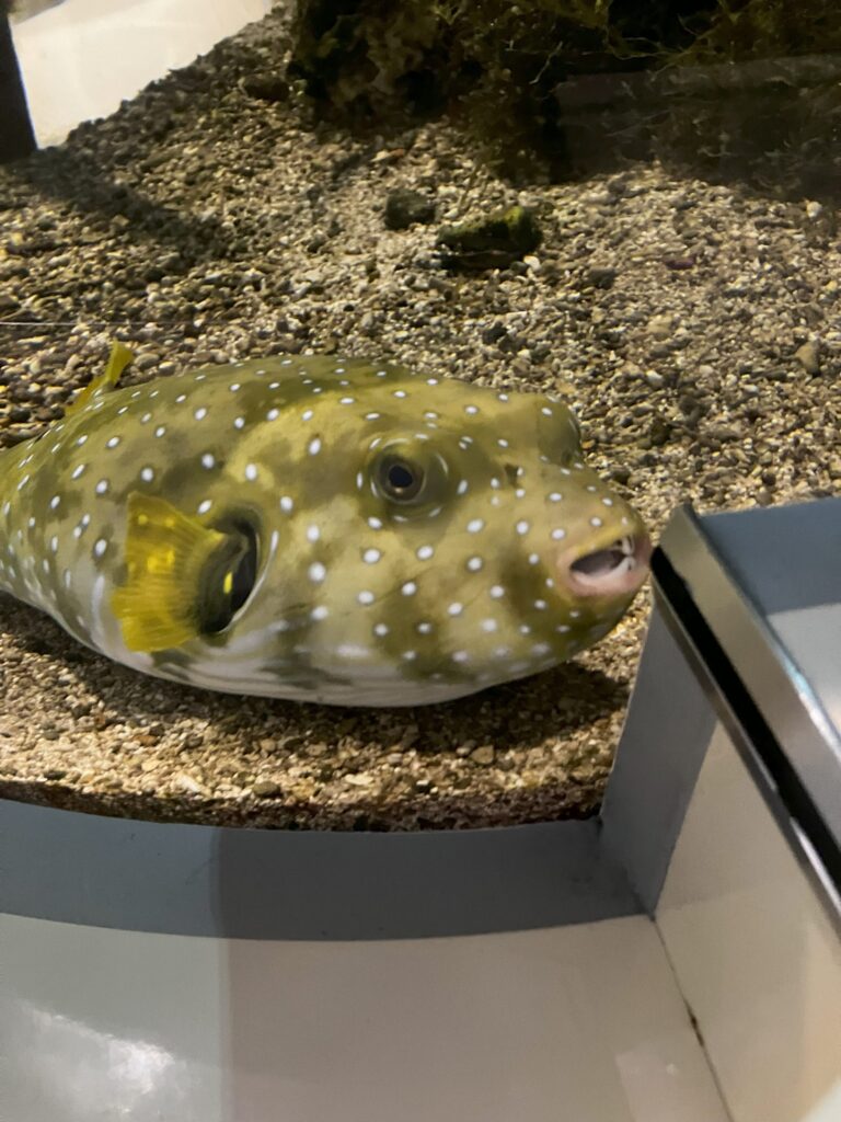 愛知県の名古屋港水族館へ行ってきました