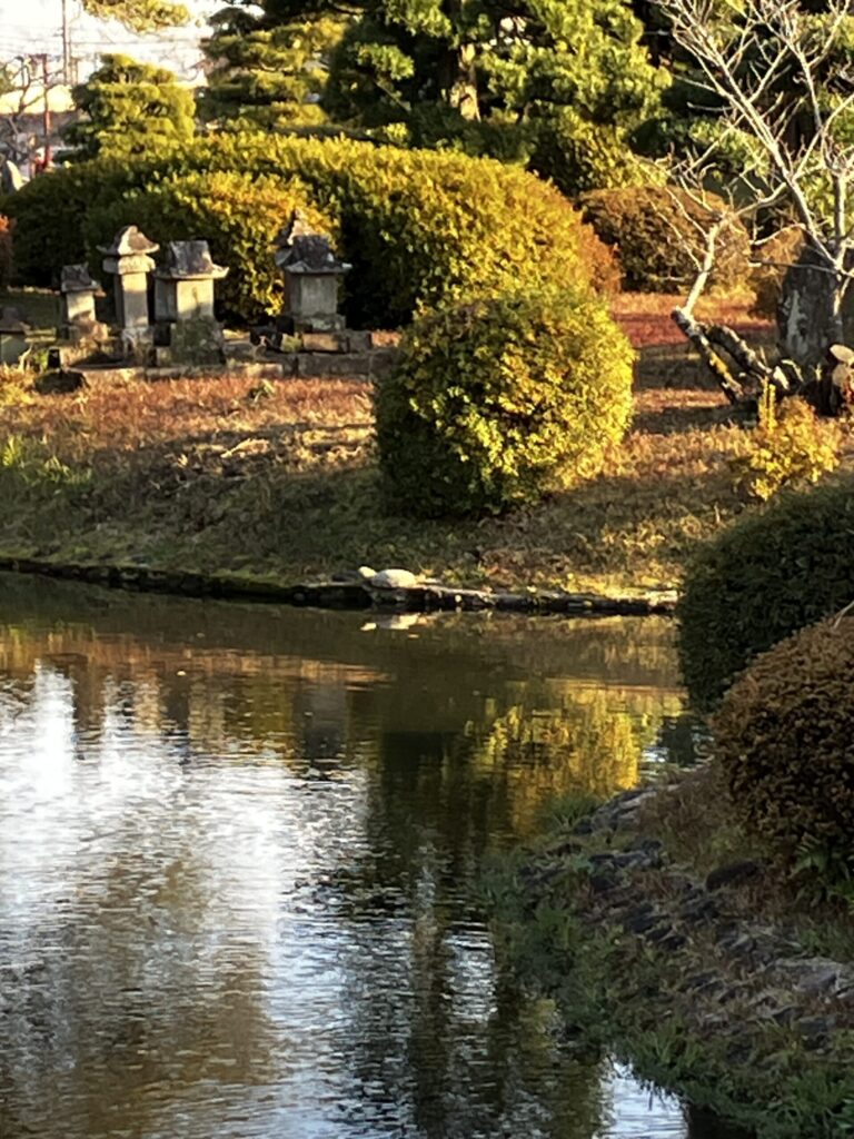 小城公園