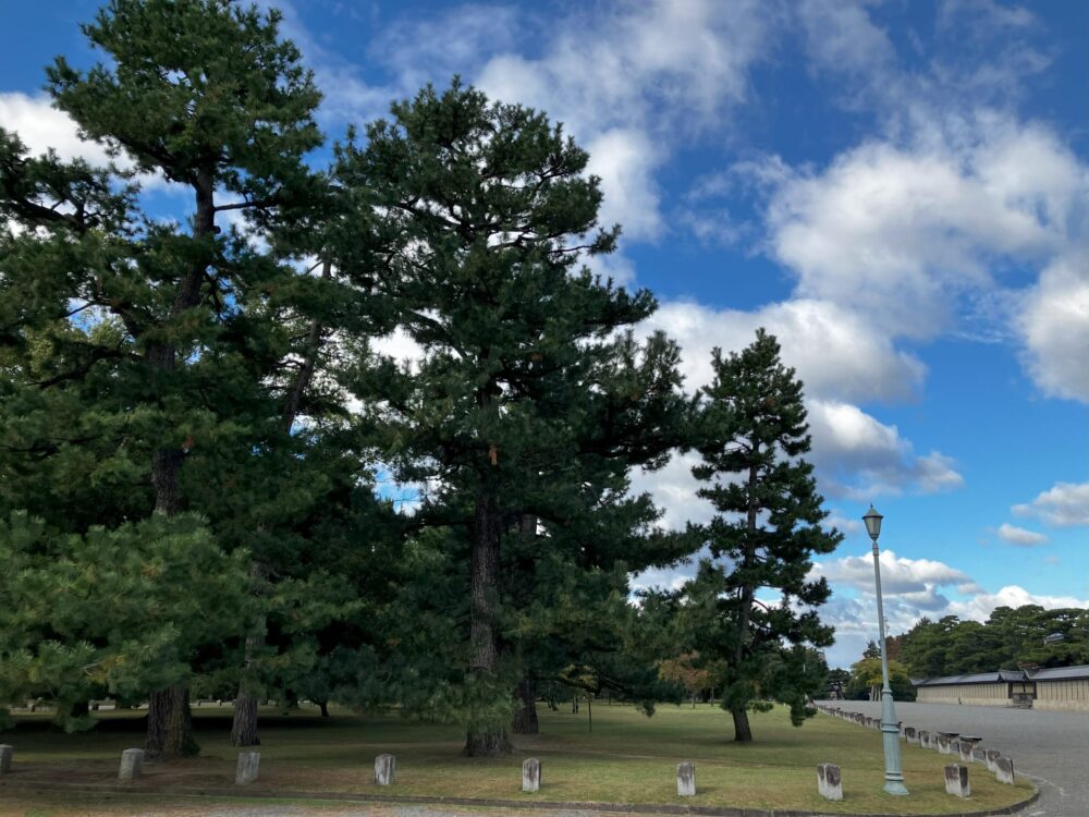 京都御所