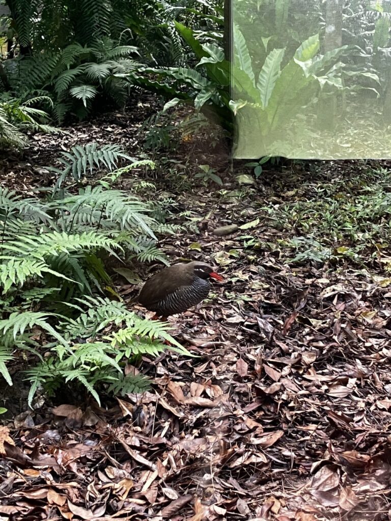 安田くいなふれあい公園