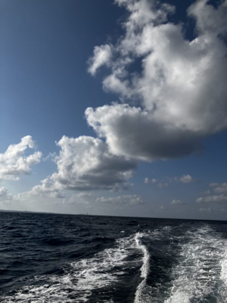 沖縄のホエールウォッチングクルーズ船から見た海の景色