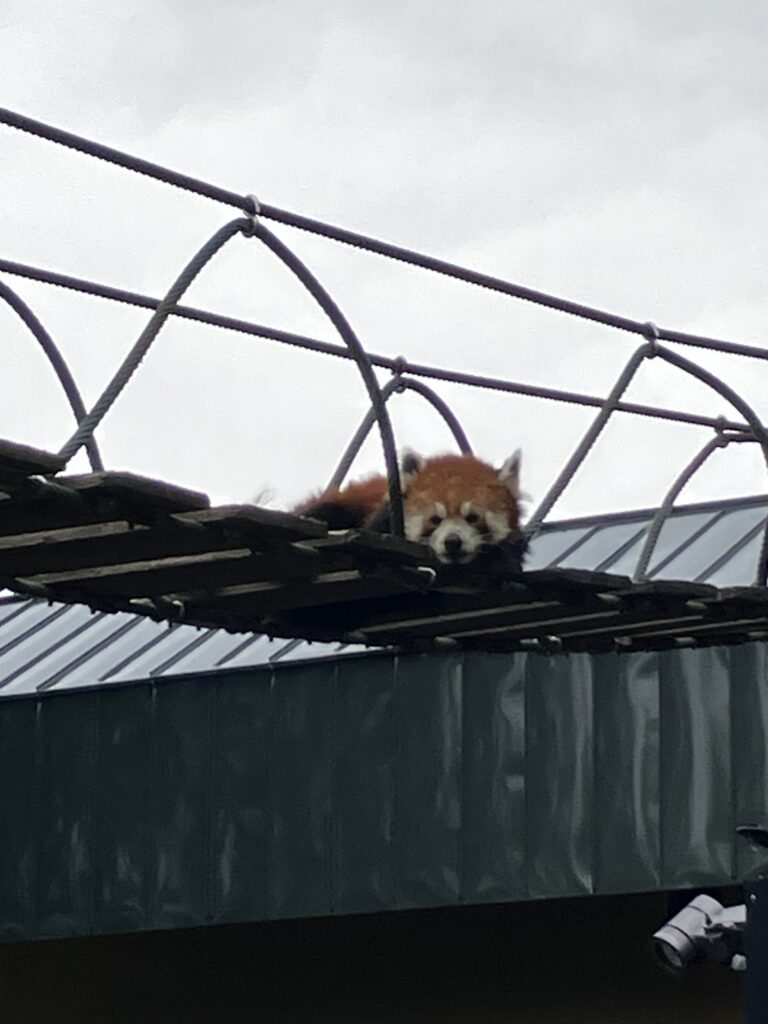 北海道の旭山動物園へ家族旅行に行ってきました