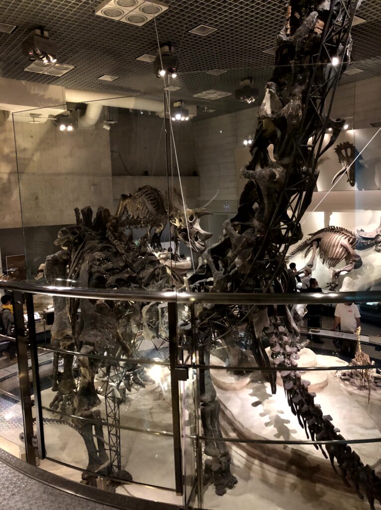 国立博物館　恐竜展示フロアの全景