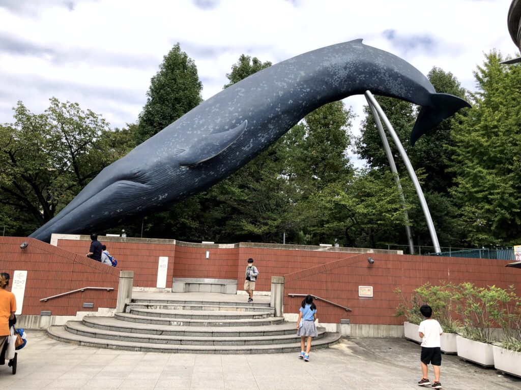 国立科学博物館　エントランス前の実物大シロナガスクジラ模型