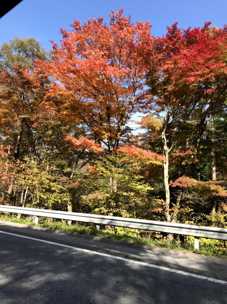 日光 車内から見たガードレール越しの紅葉と青空