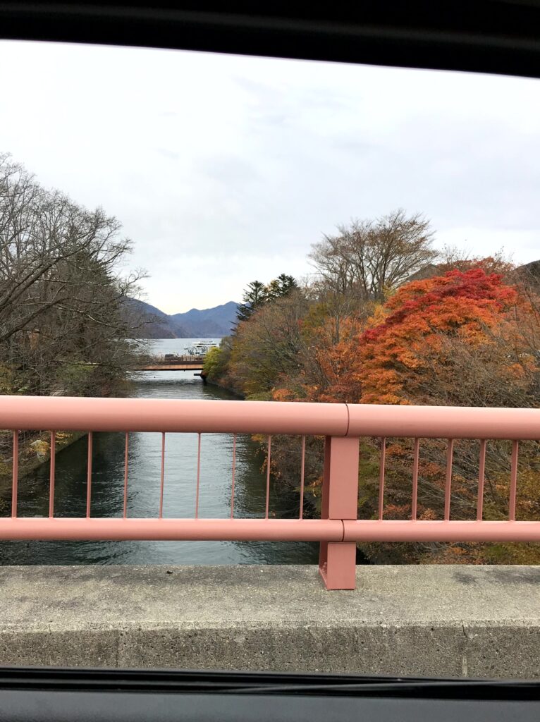 日光 中禅寺湖畔 車窓から見た朱塗りの欄干の橋と紅葉