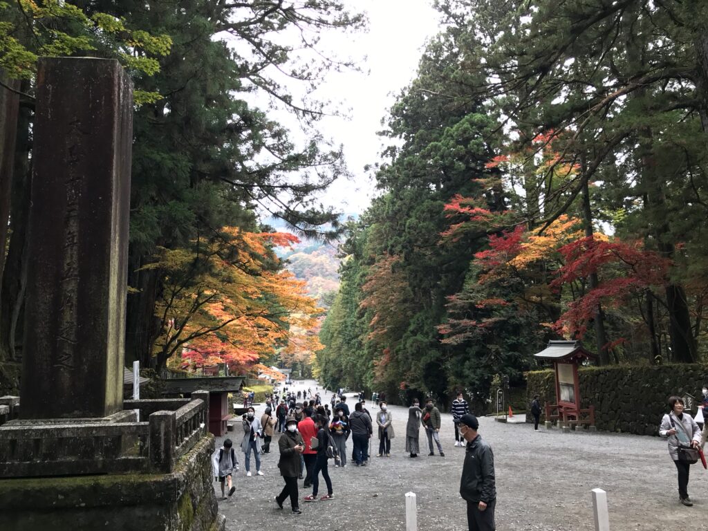日光東照宮 表参道の石鳥居と杉並木、紅葉と参拝客